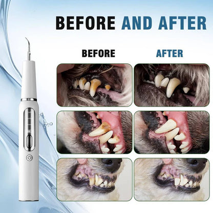 Ultrasound Device for Dog Grooming