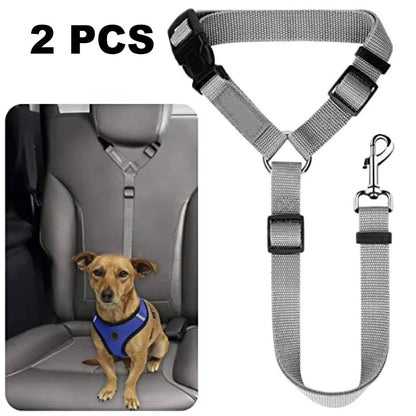 Dog Safety Belt & Leash 2-in-1