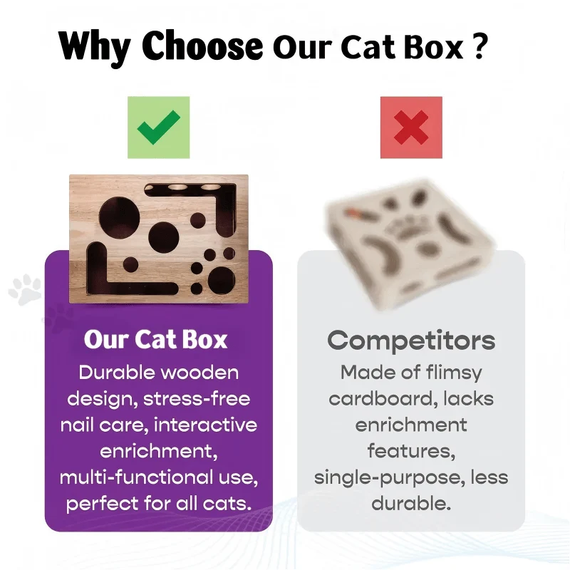Cat Scratch Puzzle Activity Box