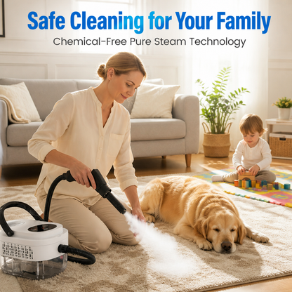 Steam cleaner with high steam temperature