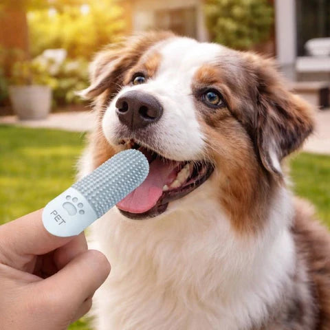 Finger Toothbrush for Dogs & Cats 3-Pack
