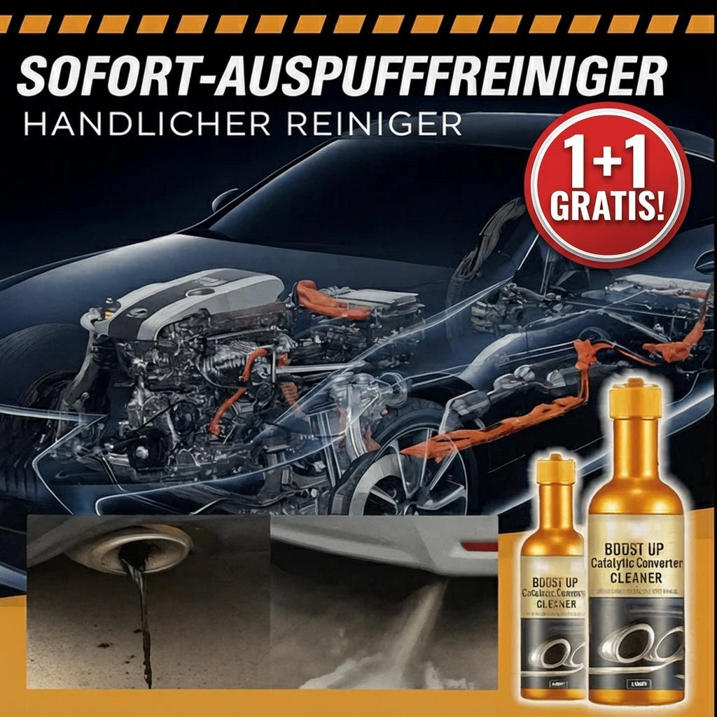 Catalyst Cleaner Additive 2×120 ml