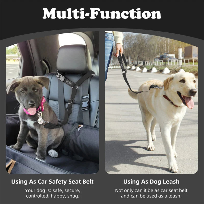 Dog Safety Belt & Leash 2-in-1