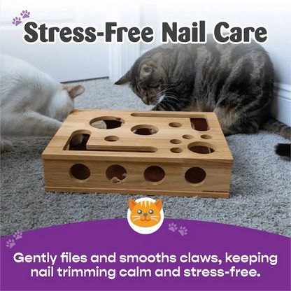 Cat Scratch Puzzle Activity Box