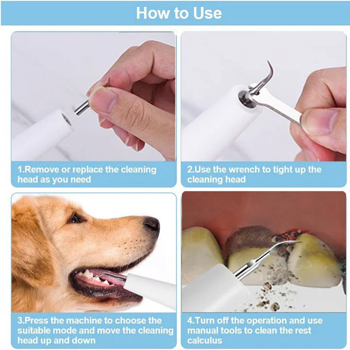 Ultrasound Device for Dog Grooming