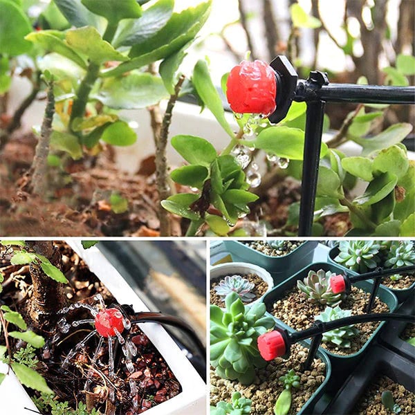 HydroMist™ — Perfect Plant Moisture for a Garden Bursting with Life