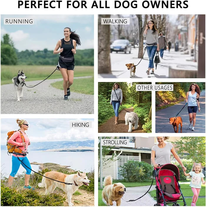 FlowLeash Dog Leash with Shock Absorber & Hip Belt