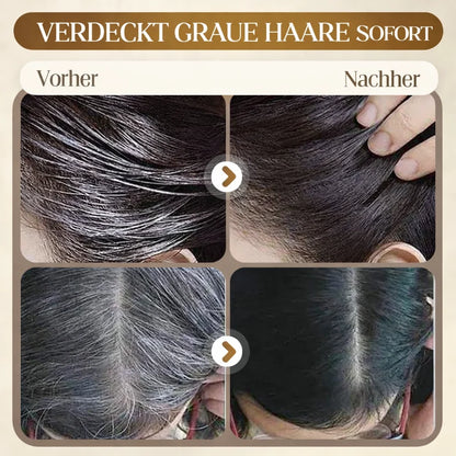 1+1 FREE | Brillexa™ — Faded gray gone instantly, for hair that lets you shine again!