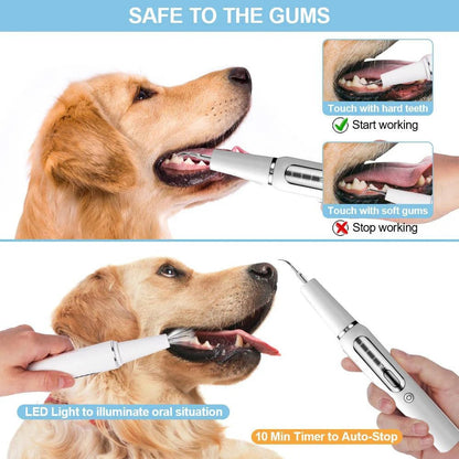 Ultrasound Device for Dog Grooming
