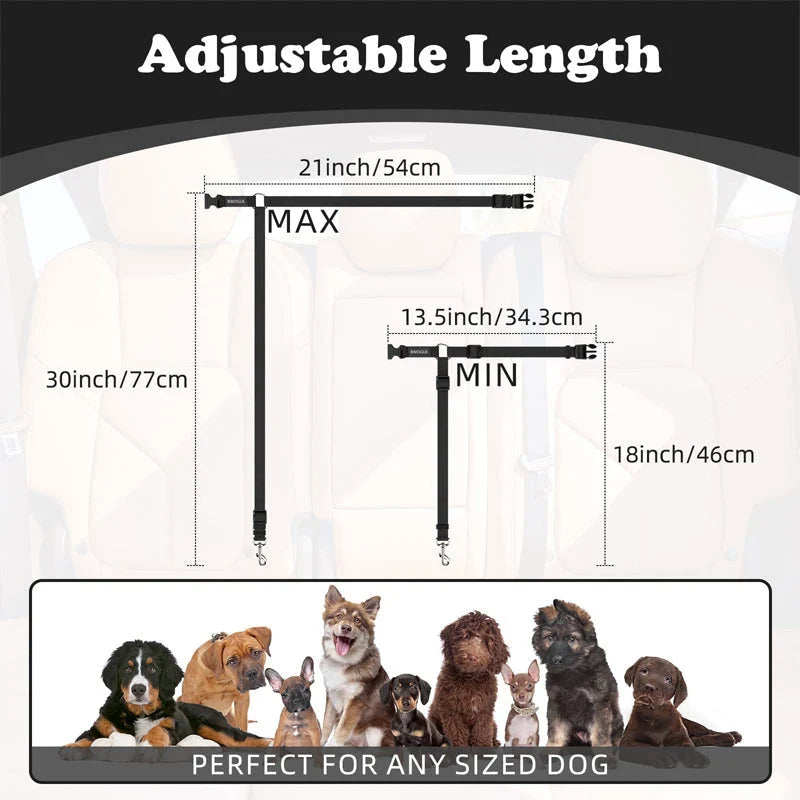 Dog Safety Belt & Leash 2-in-1