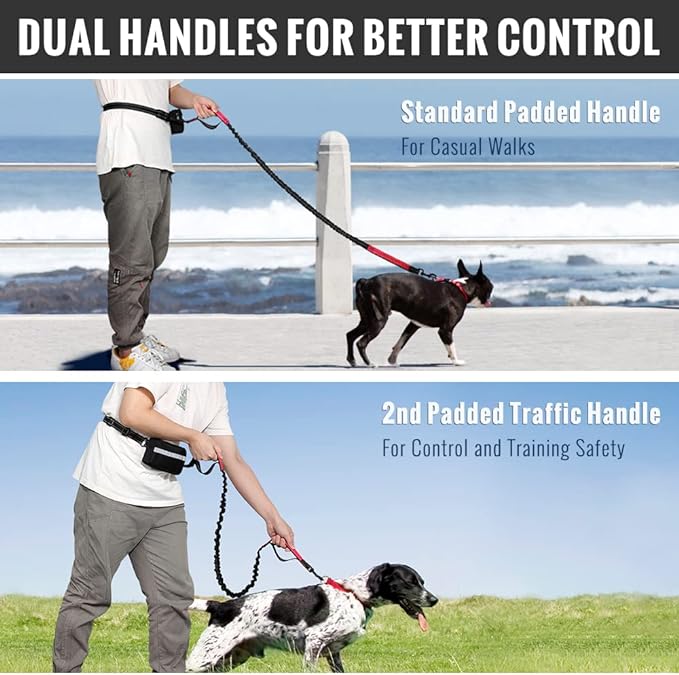 FlowLeash Dog Leash with Shock Absorber & Hip Belt