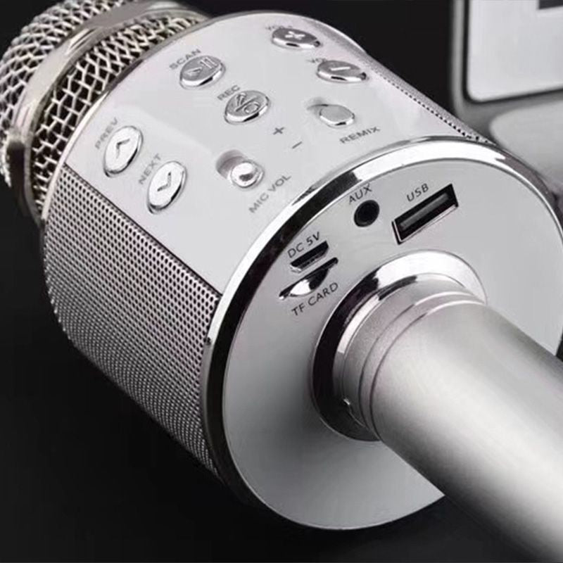 Wireless Karaoke Microphone with Bluetooth