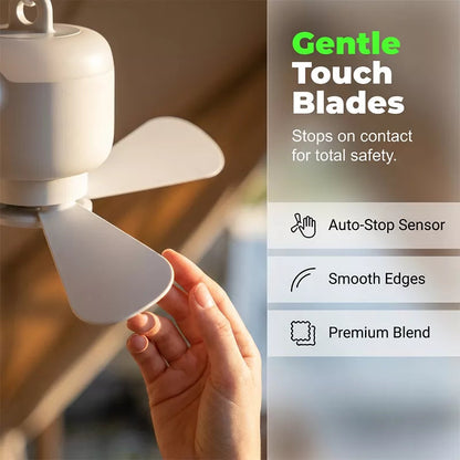Rechargeable Ceiling Fan with LED