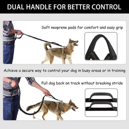 FlowLeash Dog Leash with Shock Absorber & Hip Belt
