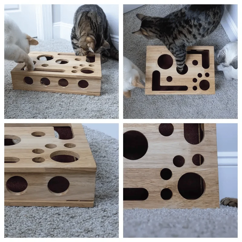 Cat Scratch Puzzle Activity Box