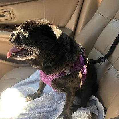 Dog Safety Belt & Leash 2-in-1