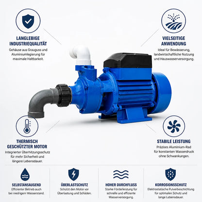 Thermally Protected Self-Priming Water Pump Made of Cast Iron and Aluminium