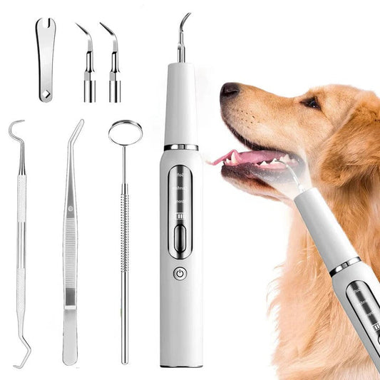 Ultrasound Device for Dog Grooming