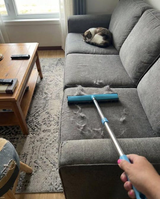 Pet Hair Remover Broom with Telescopic Handle