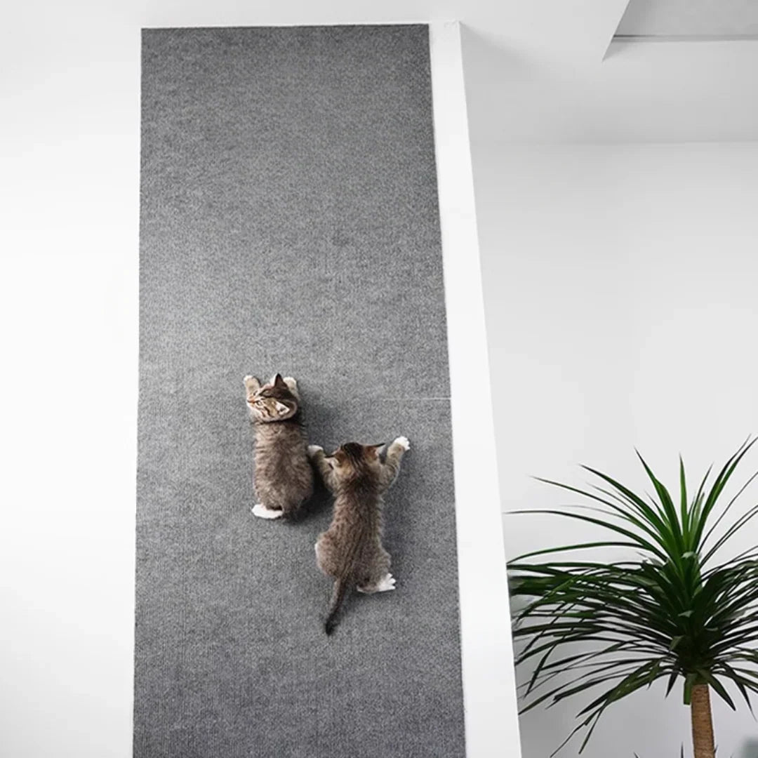 ScratchSafe™ — Turn Your Furniture into Cat-Proof Cozy Sanctuaries Without Scratch Damage