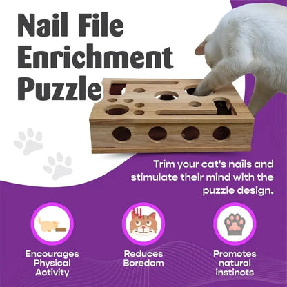 Cat Scratch Puzzle Activity Box