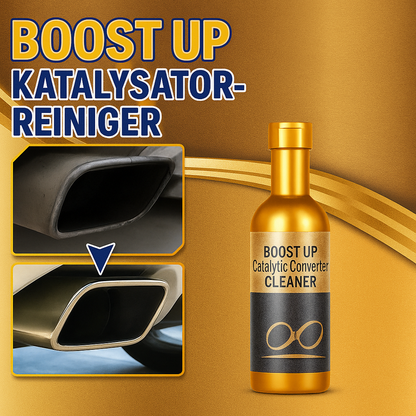 Catalyst Cleaner Additive 2×120 ml
