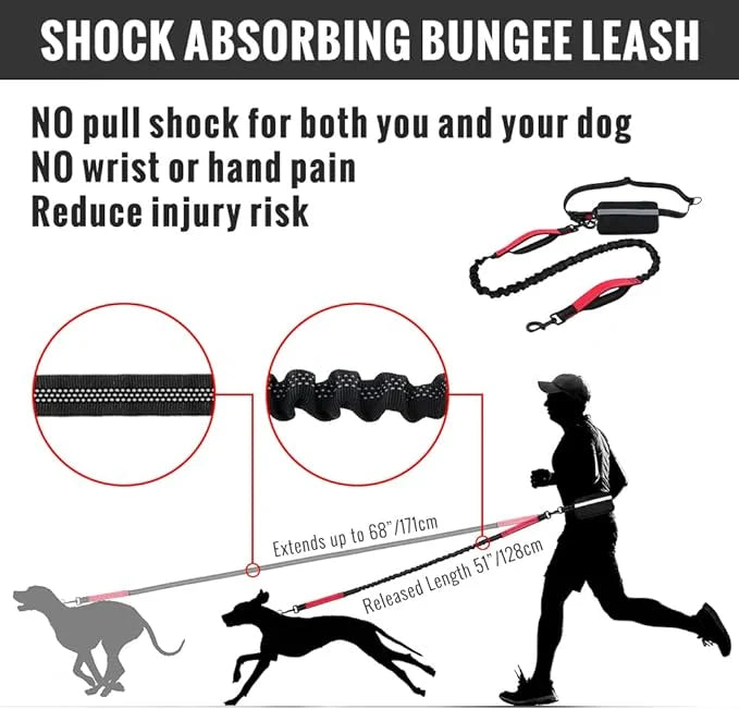 FlowLeash Dog Leash with Shock Absorber & Hip Belt