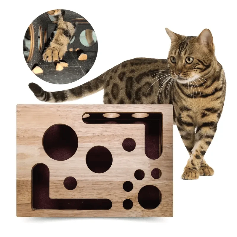 Cat Scratch Puzzle Activity Box