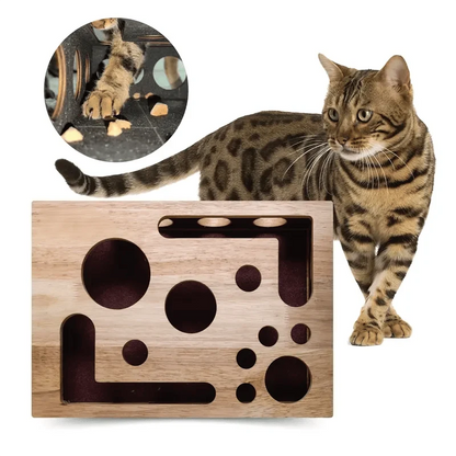 Cat Scratch Puzzle Activity Box