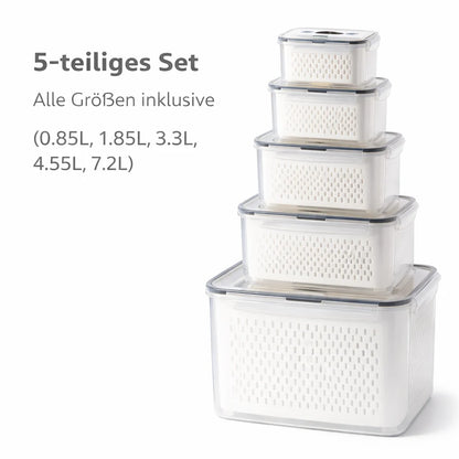 SealMate™ Food Container for Freshness
