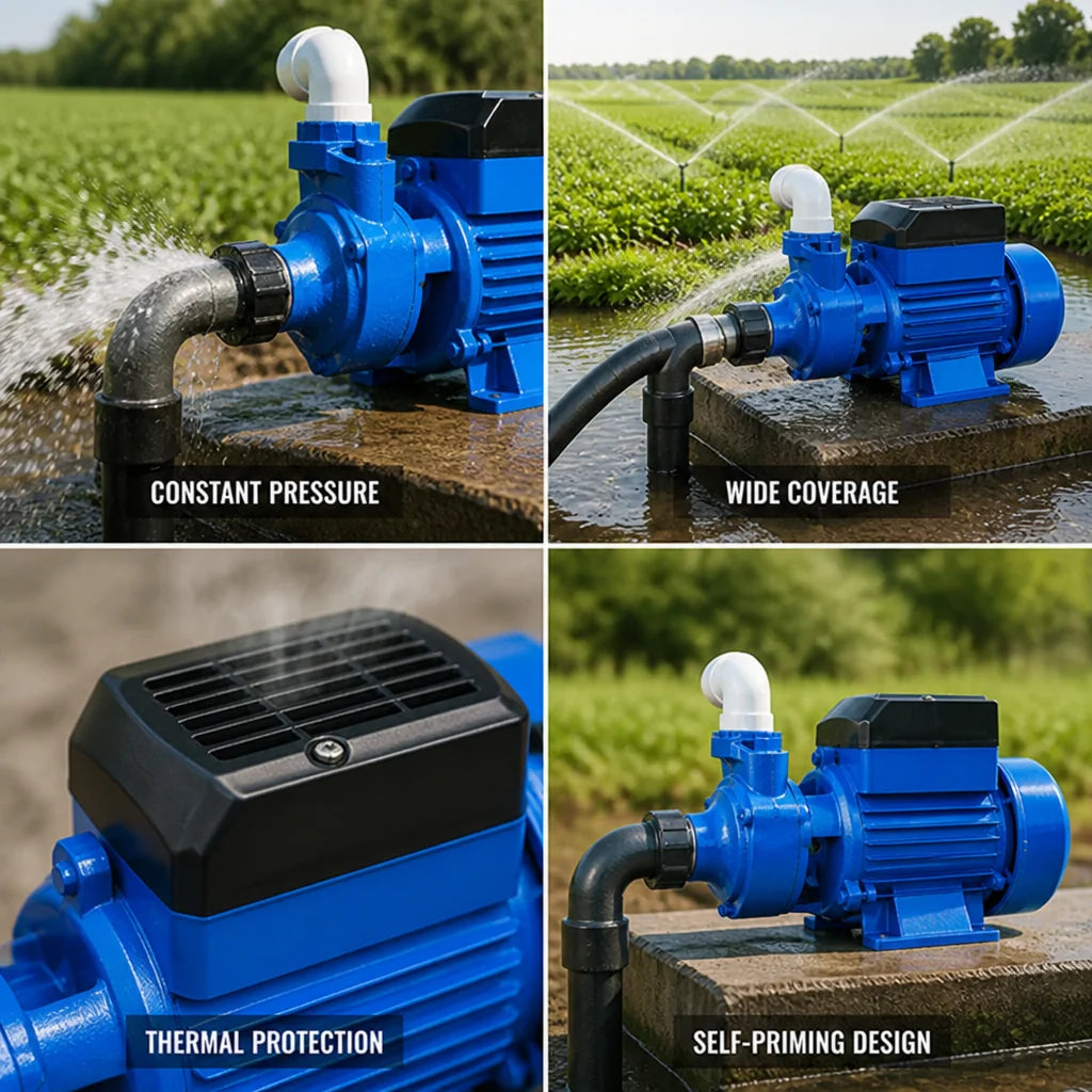 Thermally Protected Self-Priming Water Pump Made of Cast Iron and Aluminium