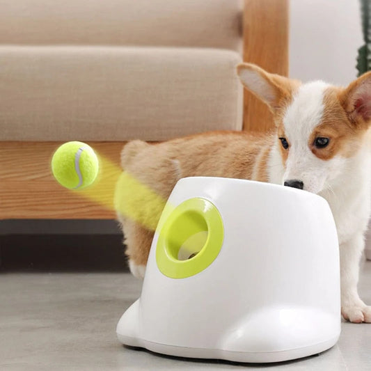 PlayBolt Automatic Ball Thrower for Dogs