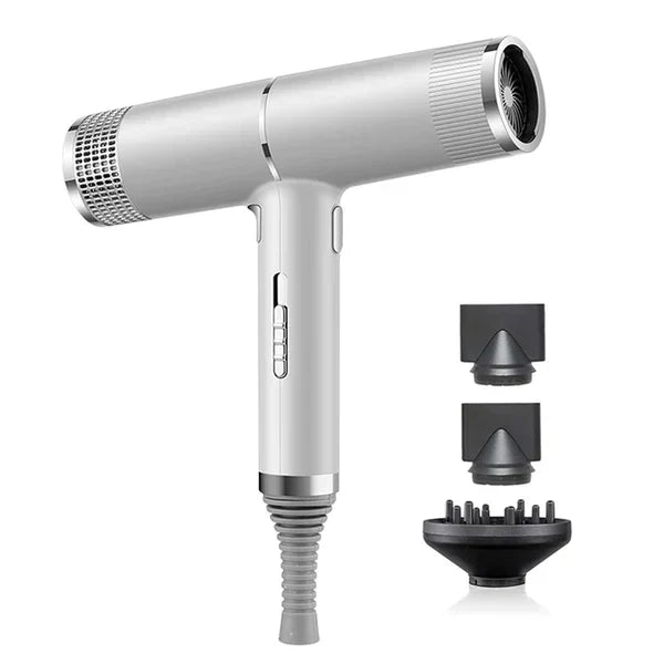 Professional Ionic Hair Dryer