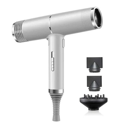 Professional Ionic Hair Dryer