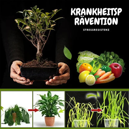 TerraPulse™ — Unleash the Full Power of Lively, Radiant Plants in Just Days