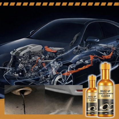 Catalyst Cleaner Additive 2×120 ml