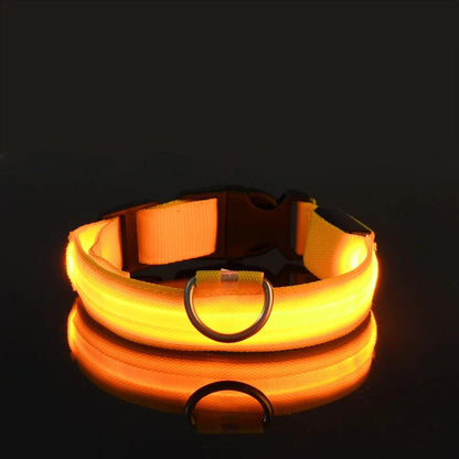LED Dog Collar Glowing for Night Walks