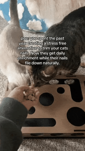 Cat Scratch Puzzle Activity Box