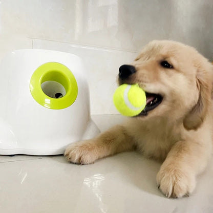 PlayBolt Automatic Ball Thrower for Dogs