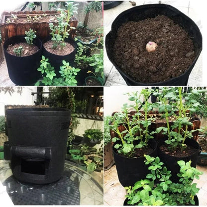 Breath Magic™ Plant Bag — Awaken Living Roots and Harvest Freedom with Every Touch!